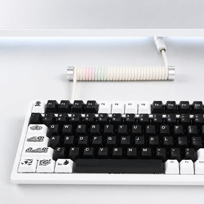 EnergyFort 8KHz gewendeltes Aviator-Tastaturkabel – USB-A auf USB-C
